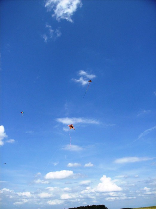 2008 KiteFestival-010.jpg